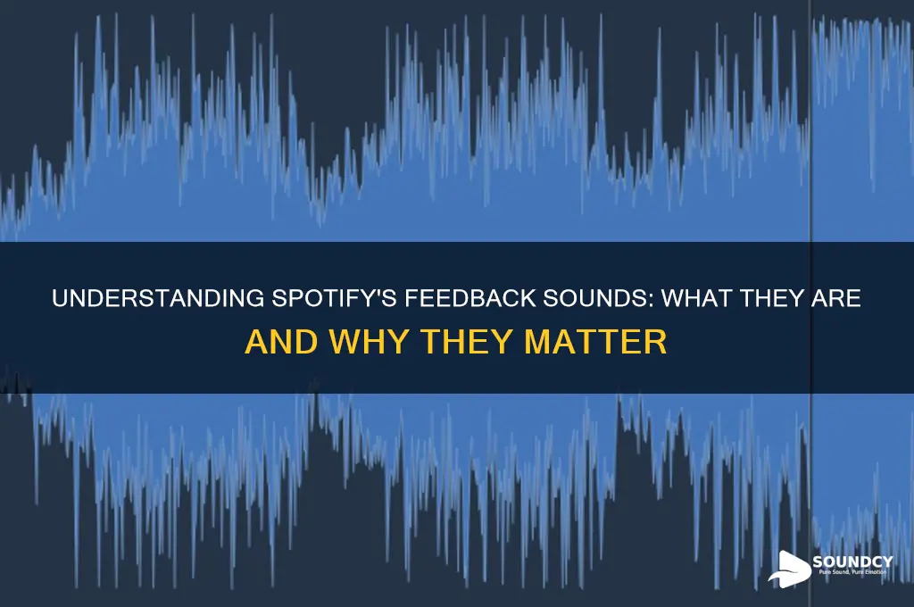 what are feedback sounds spotify