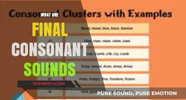 Mastering Final Consonant Sounds: A Guide to Pronunciation and Examples