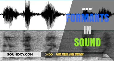Understanding Formants: The Key to Sound Clarity and Speech Perception