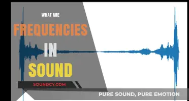 Understanding Sound Frequencies: The Science Behind What We Hear