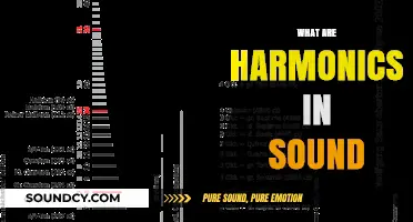 Understanding Harmonics: The Hidden Layers Shaping Sound's Richness and Depth