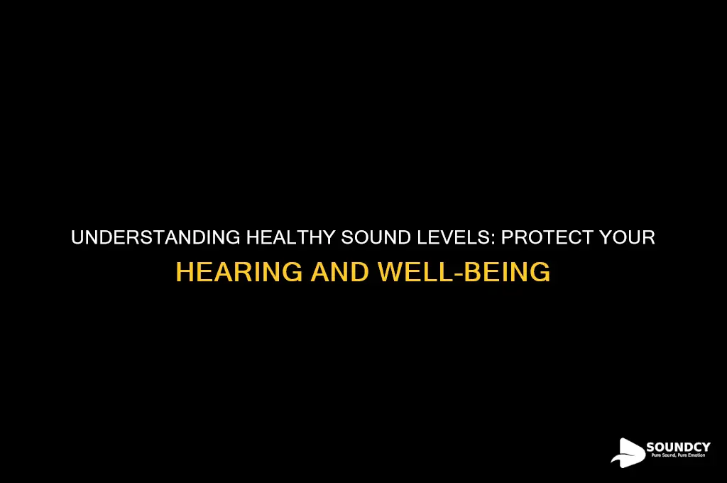 what are healthy sound levels