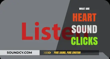 Understanding Heart Sound Clicks: Causes, Diagnosis, and Clinical Significance