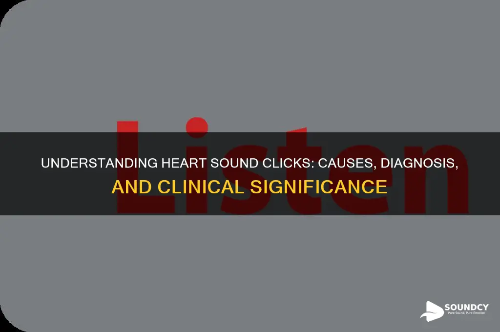 what are heart sound clicks