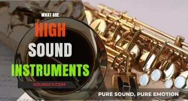 Exploring High-Pitched Musical Instruments: Types, Uses, and Unique Sounds