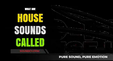 Understanding House Music: The Unique Sounds and Their Names Explained