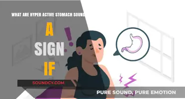 Understanding Hyperactive Stomach Sounds: Causes and Concerns