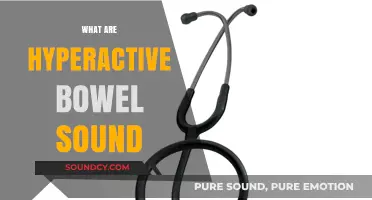 Understanding Hyperactive Bowel Sounds: Causes, Symptoms, and When to Worry
