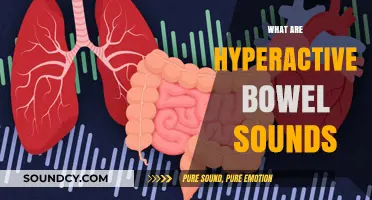 Understanding Hyperactive Bowel Sounds: Causes, Symptoms, and When to Worry