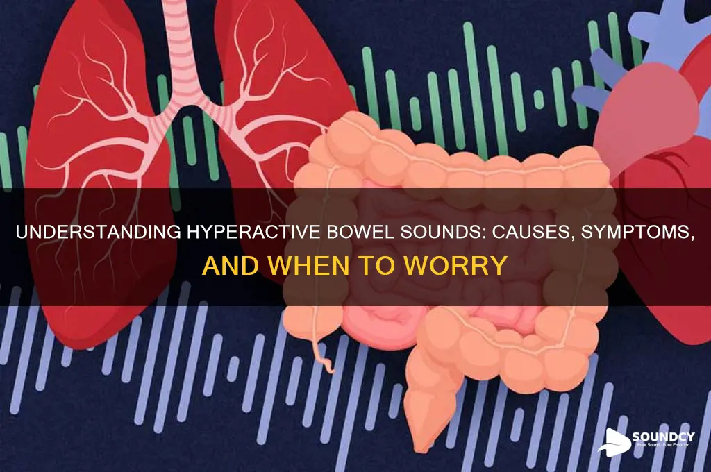 what are hyperactive bowel sounds