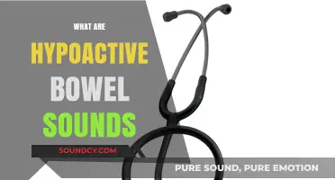 Understanding Hypoactive Bowel Sounds: Causes, Symptoms, and Diagnosis Explained
