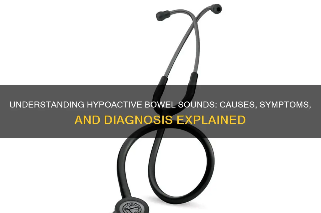 what are hypoactive bowel sounds