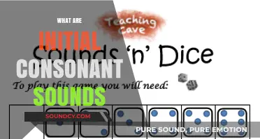 Mastering Initial Consonant Sounds: A Beginner's Guide to Phonics Basics