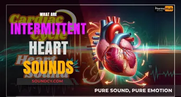 Understanding Intermittent Heart Sounds: Causes, Symptoms, and Diagnosis Explained
