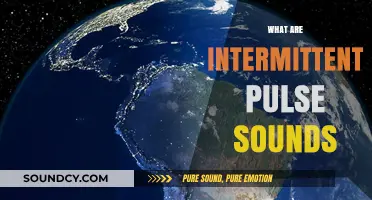 Understanding Intermittent Pulse Sounds: Causes, Symptoms, and Diagnosis Explained