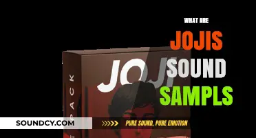 Exploring Joji's Unique Sound Samples: Origins, Techniques, and Impact
