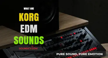 Exploring Korg's Signature EDM Sounds: Synthesis, Techniques, and Impact