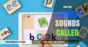 Understanding Phonics: What Are Learning Sounds Called in Education?