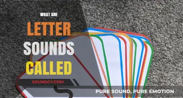 Understanding Phonics: What Are Letter Sounds Called and Why It Matters