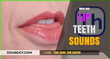 Understanding Lip Teeth Sounds: Causes, Examples, and How They Work