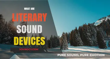Exploring Literary Sound Devices: Enhancing Poetry and Prose Through Sonic Techniques