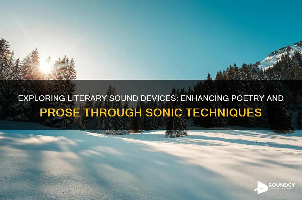 what are literary sound devices