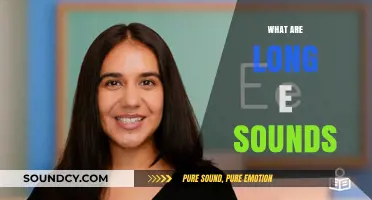 Mastering the Long E Sound: A Comprehensive Guide to Pronunciation and Usage