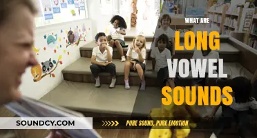 Mastering Long Vowel Sounds: A Comprehensive Guide to Pronunciation and Usage