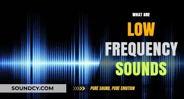 Understanding Low Frequency Sounds: Definition, Impact, and Applications