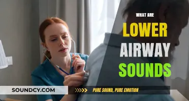 Understanding Lower Airway Sounds: Types, Causes, and Clinical Significance