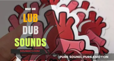 Understanding Lub Dub: The Heart's Natural Sounds Explained Simply