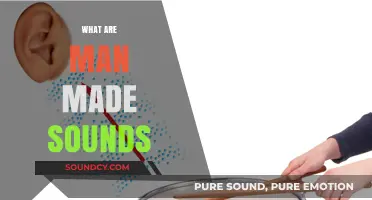 Exploring Human-Created Noises: Understanding Man-Made Sounds in Our Environment