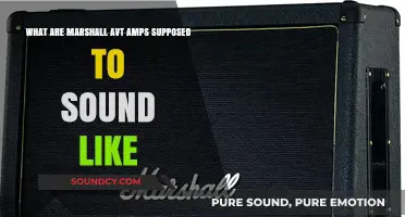 Exploring the Sonic Signature of Marshall AVT Amps