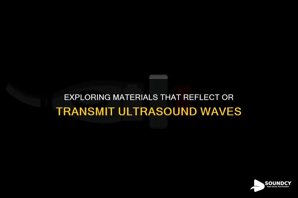 what are mediums that do not absorb ultra sound