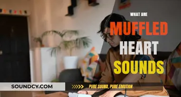 Understanding Muffled Heart Sounds: Causes, Diagnosis, and Clinical Significance