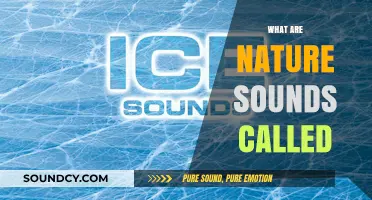 Exploring the Soothing World of Nature's Sounds: What Are They Called?