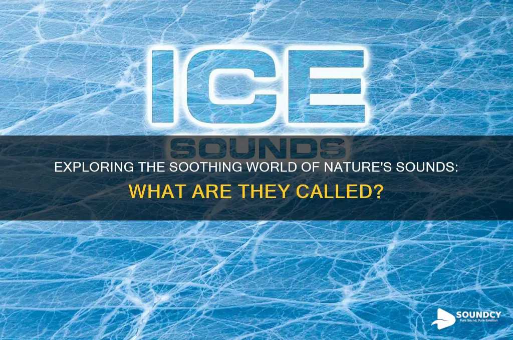 what are nature sounds called