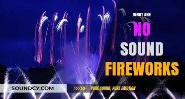 Silent Celebrations: Exploring the World of No Sound Fireworks