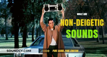 Understanding Non-Diegetic Sounds: Their Role and Impact in Film and Media