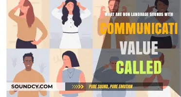 Exploring Non-Verbal Communication: The Power of Non-Language Sounds
