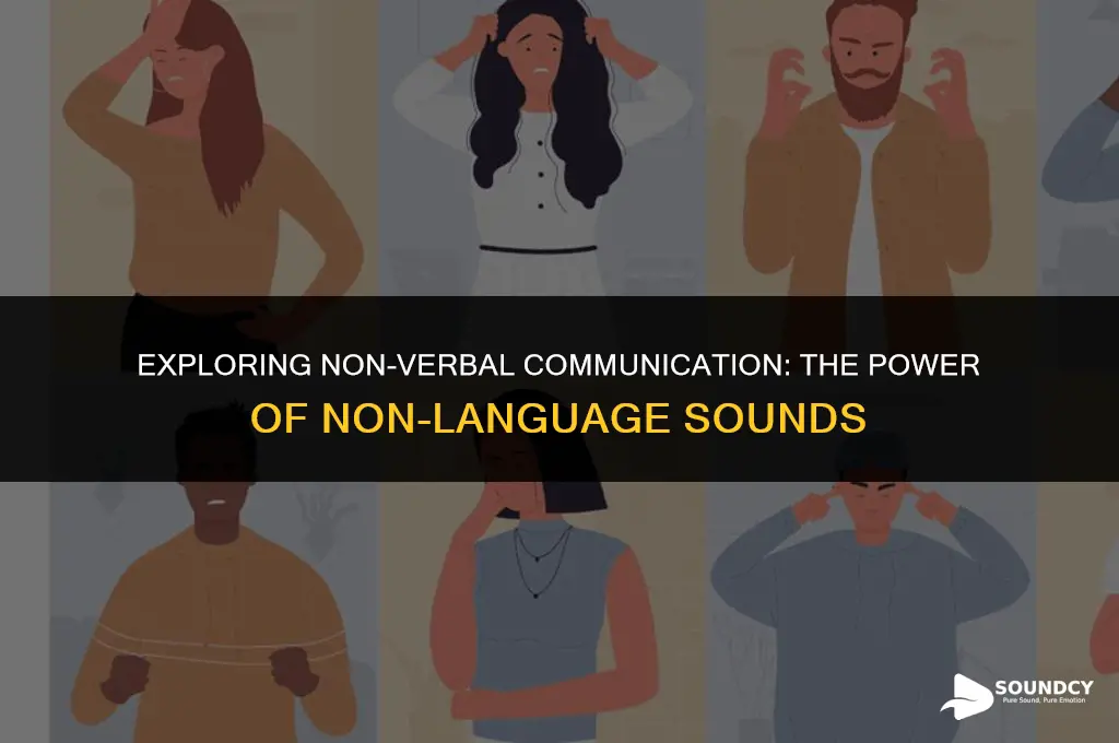 what are non language sounds with communicative value called