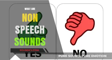 Understanding Non-Speech Sounds: Their Role and Impact in Communication