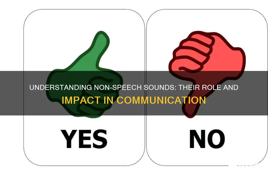 what are non speech sounds
