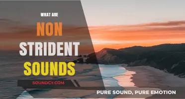Exploring Non-Strident Sounds: Understanding Soft, Gentle, and Subtle Audio