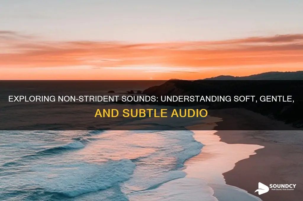 what are non strident sounds