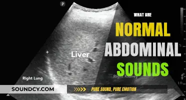 Understanding Normal Abdominal Sounds: What's Healthy and When to Worry