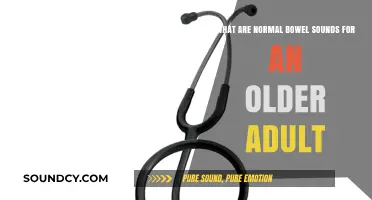 Understanding Normal Bowel Sounds in Older Adults: A Guide