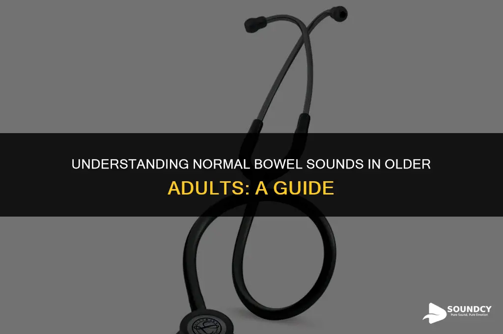 what are normal bowel sounds for an older adult