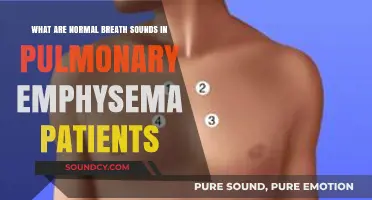 Understanding Normal Breath Sounds in Pulmonary Emphysema Patients