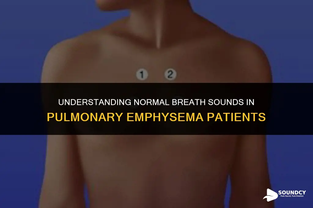 what are normal breath sounds in pulmonary emphysema patients